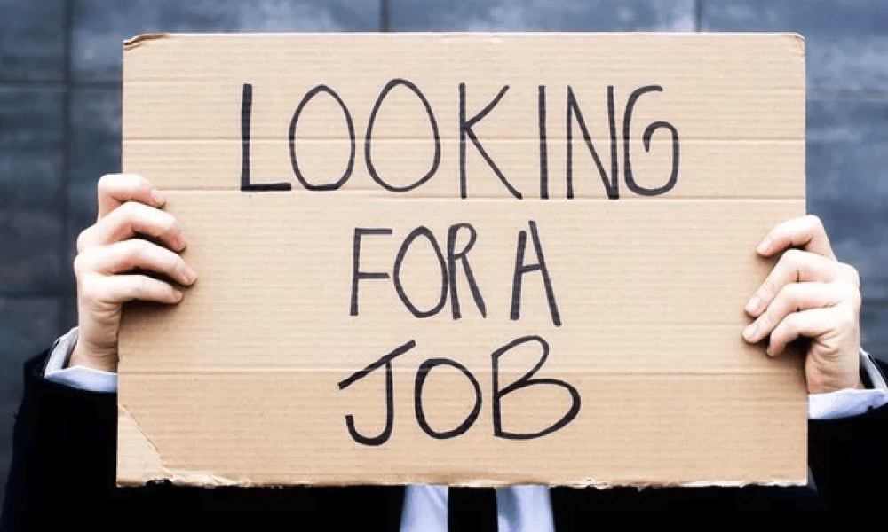 🚀 Turning Unemployment into Opportunity with PickmoorSaaS